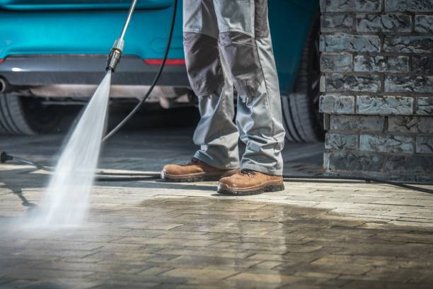 Best Dumpster Area Cleaning  in Oldsmar, FL